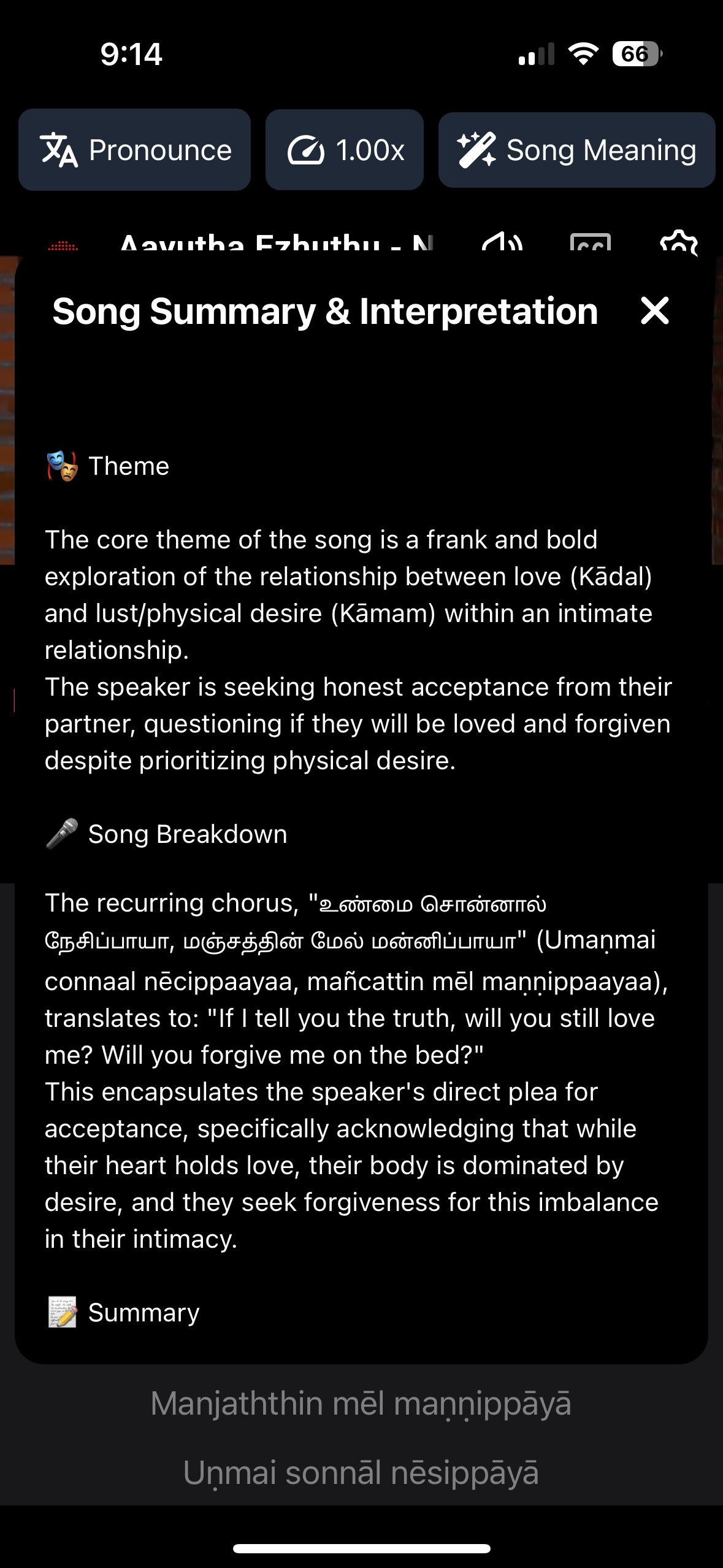 AI Summaries feature showing theme, chorus breakdown, and metaphors